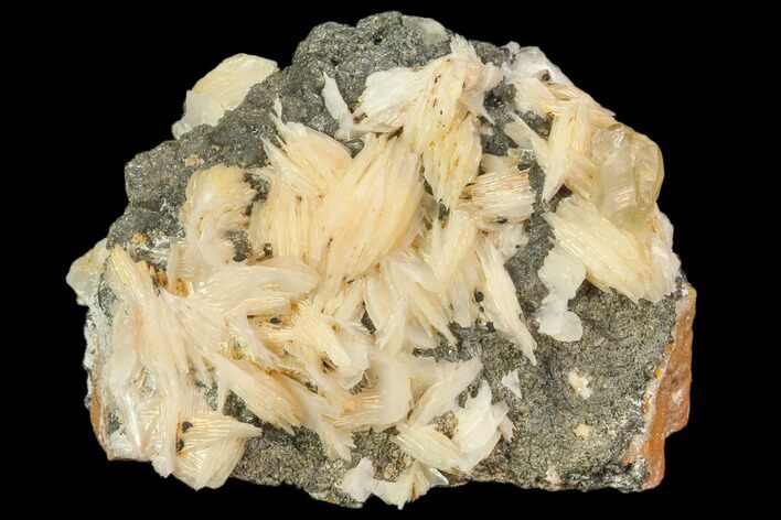 Cerussite Crystals On Galena - Morocco #82364
